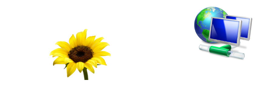 MalwareWatch.org